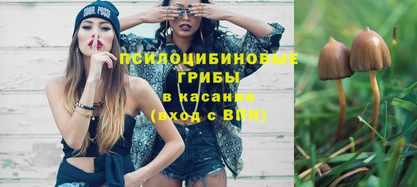 ешки Елизово