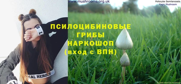 ешки Елизово
