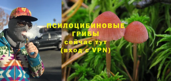 ешки Елизово