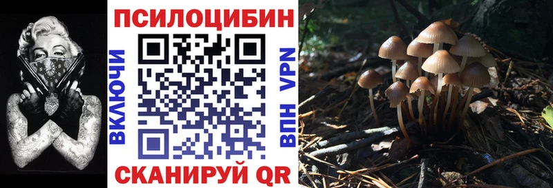Псилоцибиновые грибы Magic Shrooms  Купить  Надым 